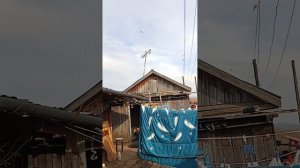 палёт