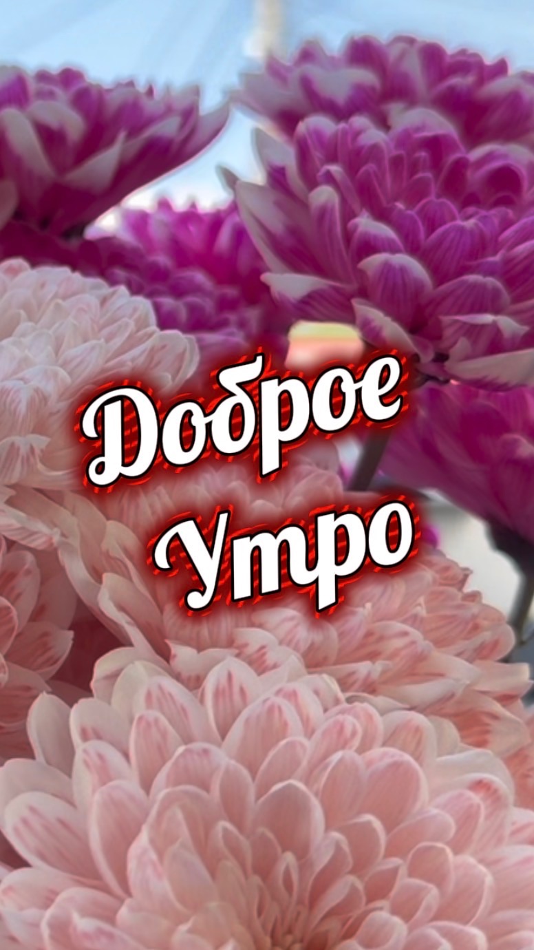 Доброе утро! Песня с добрым утром