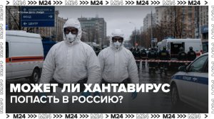Вирусолог назвала низкой вероятность распространения хантавируса в России - Москва 24