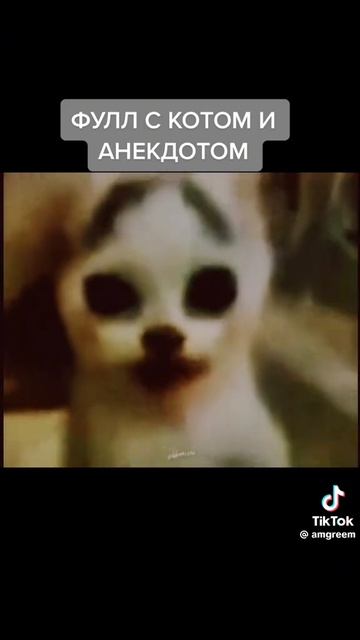 фулл смотреть онлайн