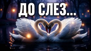 🦢 Лебединая верность
