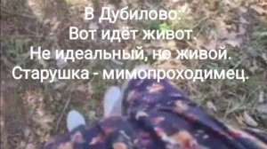 В Дубилово. Вот идëт живот...