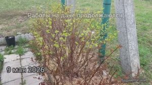 Наша дача на 9 мая. Весенние работы подходят к концу!