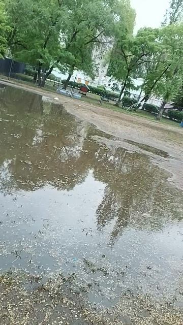 просто видео смотреть онлайн