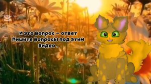 ВОПРОС ОТВЕТ! ПИШИТЕ ВОПРОСИКИ :)