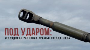 Спецрепортаж WG «Под ударом: «Гвоздика» разность вражьи гнезда БПЛА»