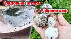 Град с куриное яйцо обрушился на Узбекистан❗️Пострадали дома, автомобили и посевы жителей❗️
