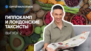 ГИППОКАМП И ЛОНДОНСКИЕ ТАКСИСТЫ | ВЫПУСК 2