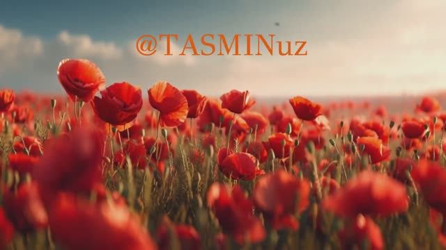 TASMIN - Журавли