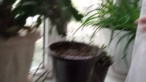 12-05-2026  дом за окном 😱