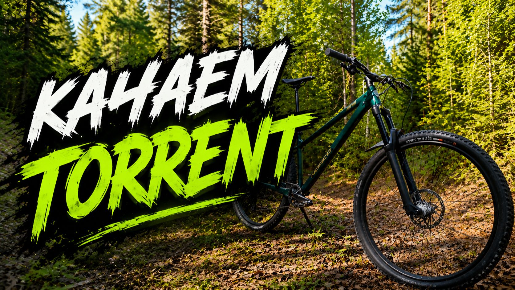 Качаем Torrent. Norco TORRENT. смотреть онлайн