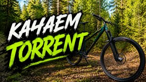 Качаем Torrent.  Norco TORRENT.