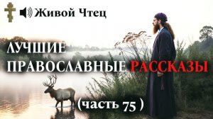 СЫН ВЫГНАЛ СЛЕПУЮ МАТЬ НА МОРОЗ ЛУЧШИЕ ПРАВОСЛАВНЫЕ РАССКАЗЫ часть 75