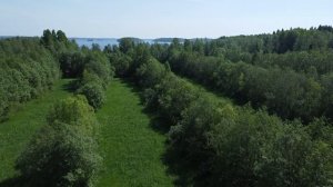 Пешком по земле к воде