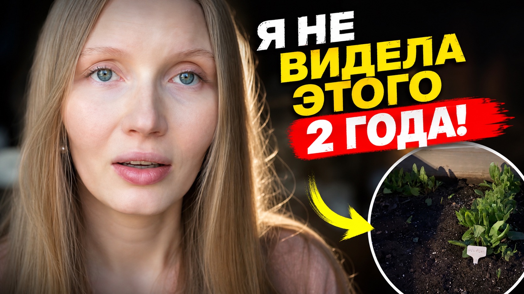 Слепая зона: я не замечала этого 2 года. Почему мы не видим то, что рядом?