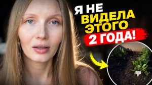 Слепая зона: я не замечала этого 2 года. Почему мы не видим то, что рядом?