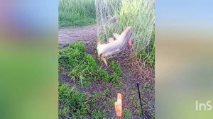 Открытие сезона кемпинга 🏕️ и рыбалки 🎣 на Кубани 🌅 2026