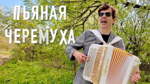 🔥БАЯНИСТ ЗАЖИГАЕТ! Устоять невозможно! Пьяная черемуха