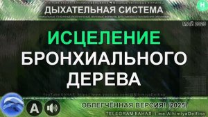 🌳 Очищение Бронхов и Бронхиол 💨 Дыши Свободно! ✨ Восстановление Дыхательных Путей