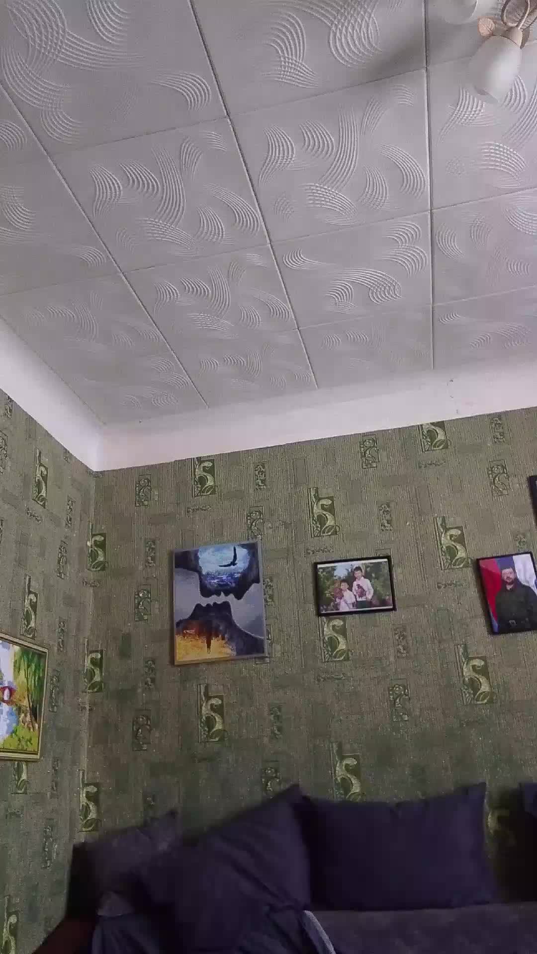трансляция смотреть онлайн