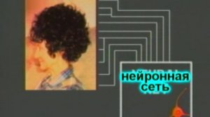 Ум и мозг