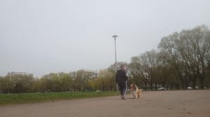 Остановки из движения, Вик, май 26