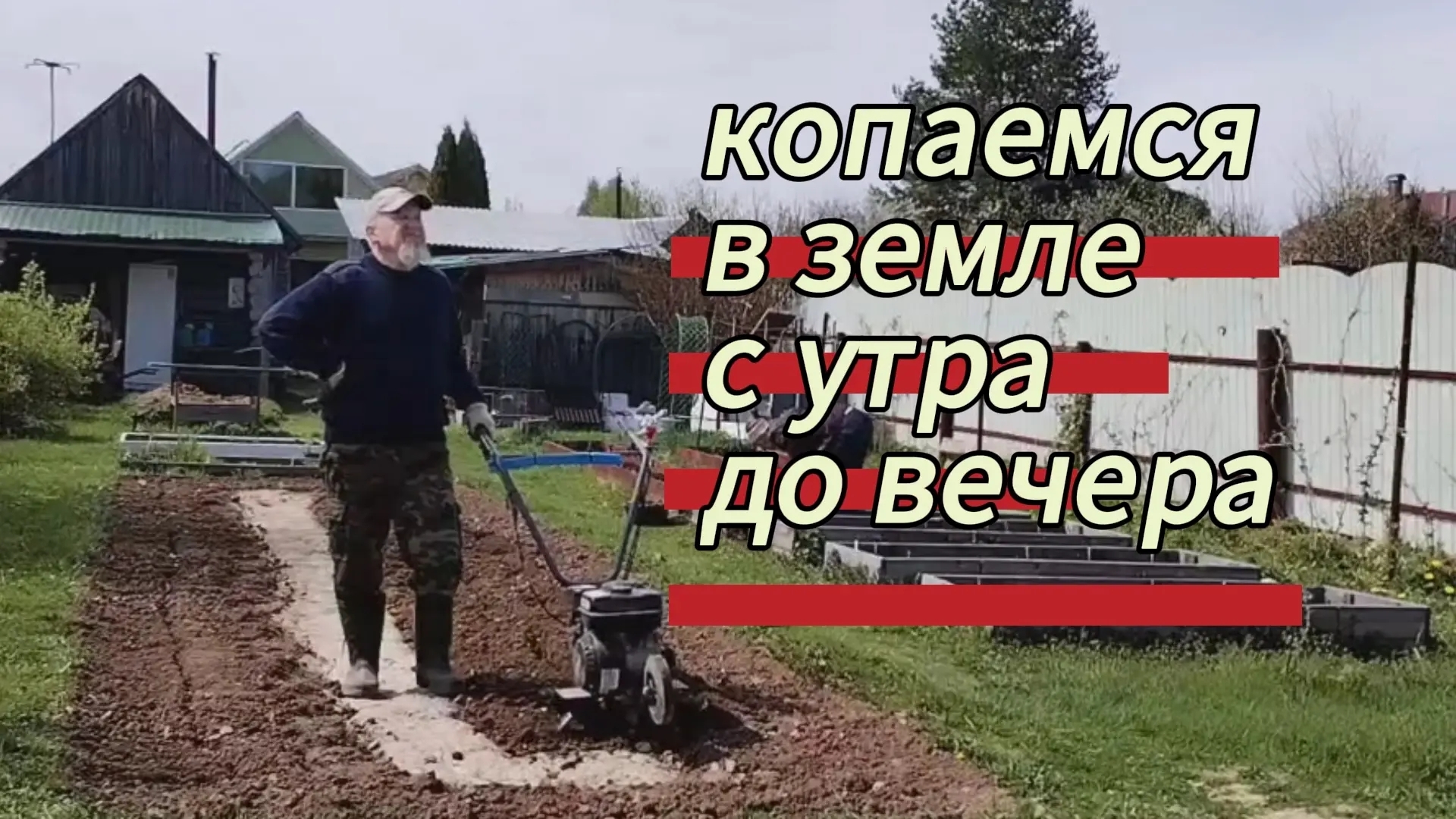 Копаемся в земле с утра до вечера. Омоложение эхинацеи. 10.05.2026