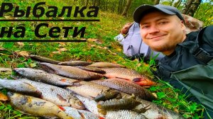 Ночная Рыбалка на Сети и Паук на РЕКЕ у Костра