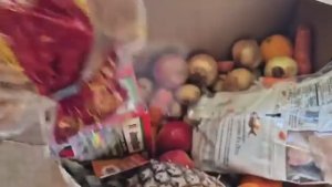 Лиса в Америке Неожиданно много ВОТ ЭТО УДИВИЛИ Бесплтаные продукты в СШАФудбанк