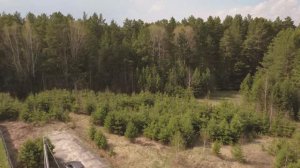 Продаётся земельный участок в КП Дарвин, Сибирский тракт (дублёр)