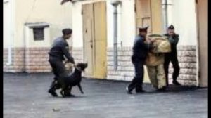 13 мая - День охранно-конвойной службы МВД России
