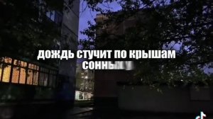 2977.mp4