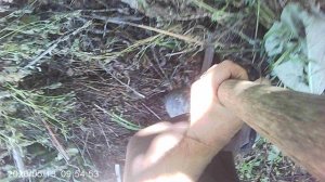 Использование КОМПОСТА: Набирание в ведёрко для удобрения растений