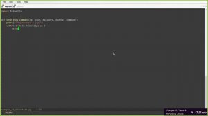 16-4-Modul-telnetlib