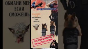Специалисты из 404