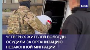 Четверых жителей Вологды осудили за организацию незаконной миграции