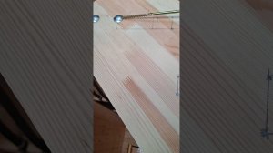 1000058197.mp4 (Собака наблюдает за устройством лестницы на 2-ой этаж в доме А-фрейм)