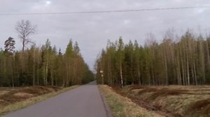 Нора.Пение птиц.
13.05.26г.