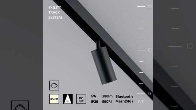 Светильник Maytoni Exility Focus LED TR032-4-5W3K-W-DS-B смотреть онлайн