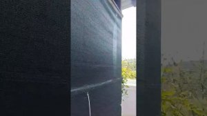 Май роение пчёл 🐝 13-05-2026г. Пополнения в нашем медовом полку 🐝🐝🐝🐝🐝🐝🐝🐝🐝🐝🐝🐝🐝🐝🐝🐝🐝