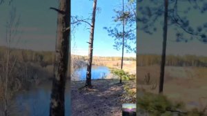 Гладышевский нас 6 на Зеленогорск