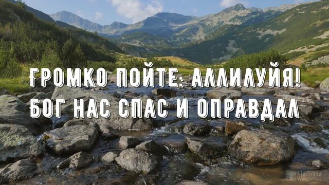 Братья все ликуйте =- минус мой 3 смотреть онлайн