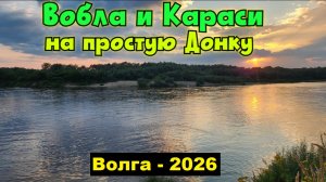🐟На «донку» наловили Воблу(запрещёнку) и Карасей! Рыбалка на Волге!!! Михалыч в Астрахани !!!