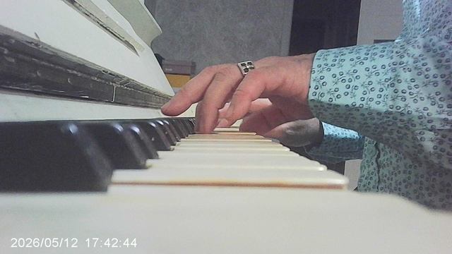 Пианино: казачья народная "Пчелочка златая" (обработка исполнителя)