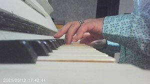 Пианино: казачья народная «Пчелочка златая» (обработка исполнителя)