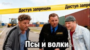 Псы и волки сериал 4 серия 2026 год смотреть онлайн что будет в серии, обзор  серии