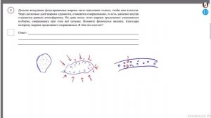 1 задание ВПР 7 класс профиль. Сложность -средняя.