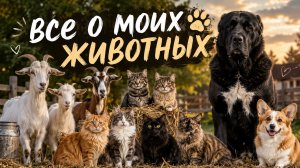 ВСЕ О МОИХ ПИТОМЦАХ | Как они у меня появились