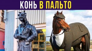 КОНЬ В ПАЛЬТО) Приколы