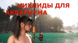 Рыбалка ► Вызов сценария ЦИХЛИДЫ ДЛЯ АКВАРИУМА Once Human